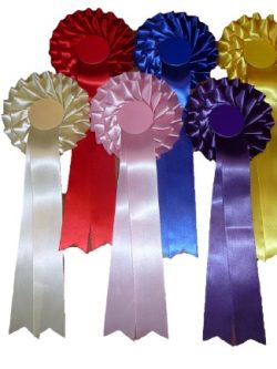 2 Tier Sets of 1st to 6th Cottage Superior Rosettes