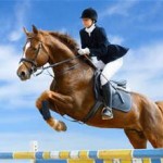 showjumping horse and rider