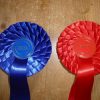 Stock Rosette Show Pack 1 - Image 5
