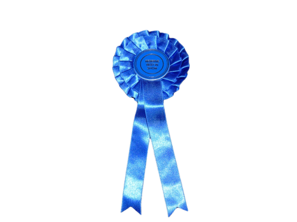 2 Tier Reserve Best In Show Stock Rosette