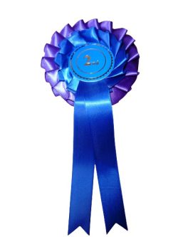 2 Tier 2nd Place Rosette