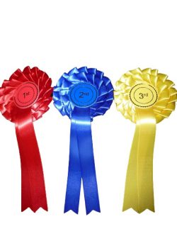 3rd Rosettes 1 Tier FREE POSTAGE 10 sets of 1st 