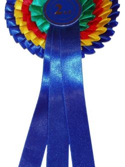 4 Tier 2nd Place Rosette