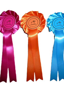 One Tier Clear Round Stock Rosettes