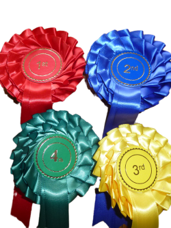 Two Tier Set of 1st – 4th Stock Rosettes