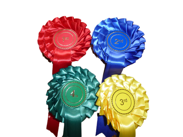 Two Tier Set of 1st - 4th Stock Rosettes