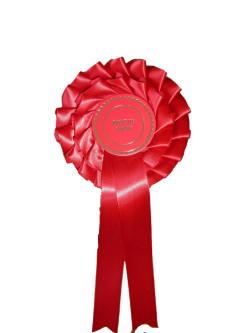 2 Tier Best In Show Stock Rosette