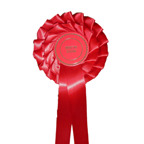 2 Tier Best In Show Stock Rosette