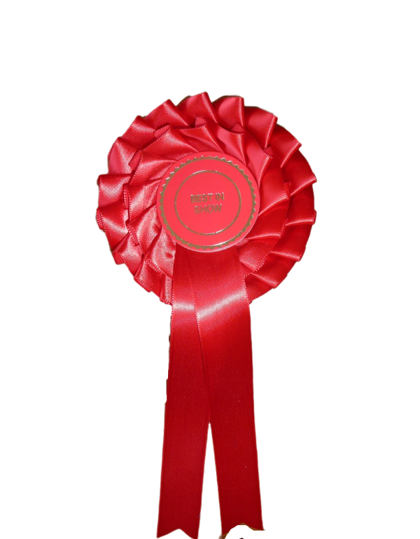 2 Tier Best In Show Stock Rosette