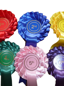 2 Tier Sets of 1st to 6th Stock Rosettes