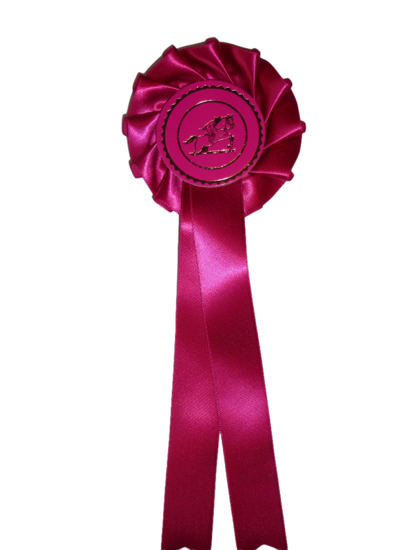 1 tier Horse & Rider Jumping Cottage Personalised Rosette Bundle