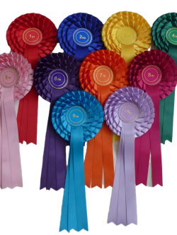 3 tier Stock Rosette set 1st to 10th