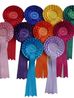 3 tier Stock Rosette Set 1st to 10th