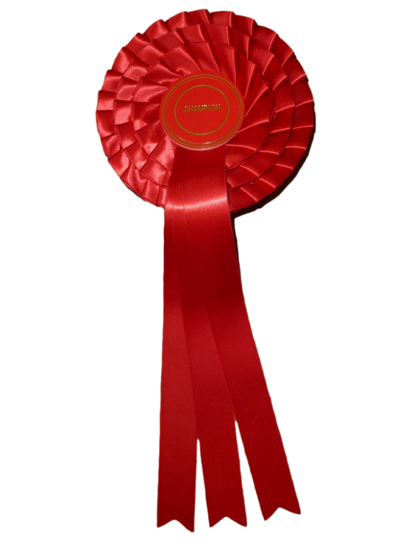 3 Tier Champion Stock Rosette