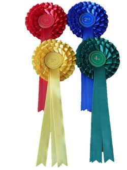 3 Tier Stock Rosette Sets 1st to 4th