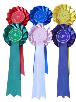 One Tier Set of 1st to 6th Stock Rosettes